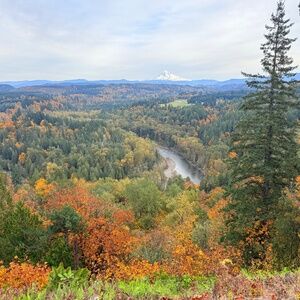 Meet your Posher, Tanya